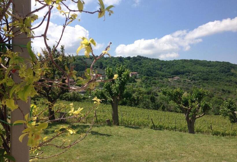 ペンション Bed & Wine Rocco Zambri