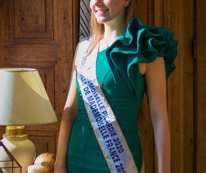 Пансион Château De Plessier Roza