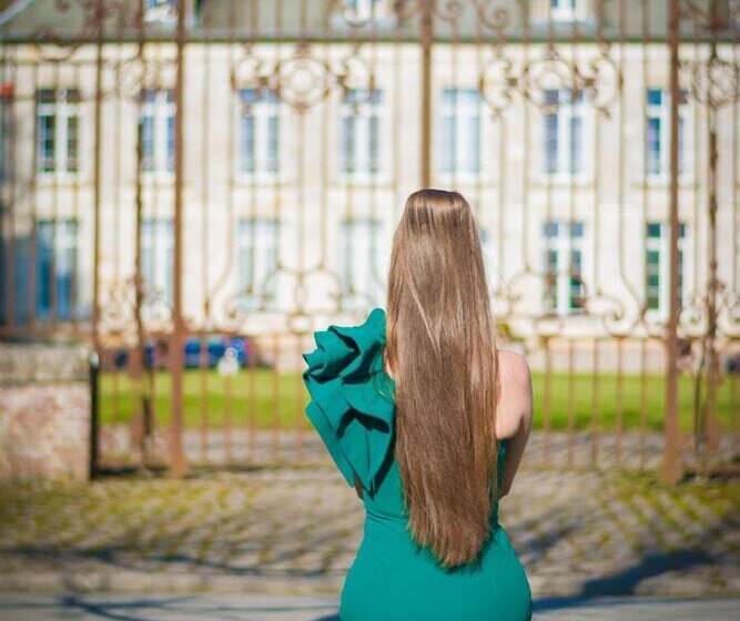 Пансион Château De Plessier Roza