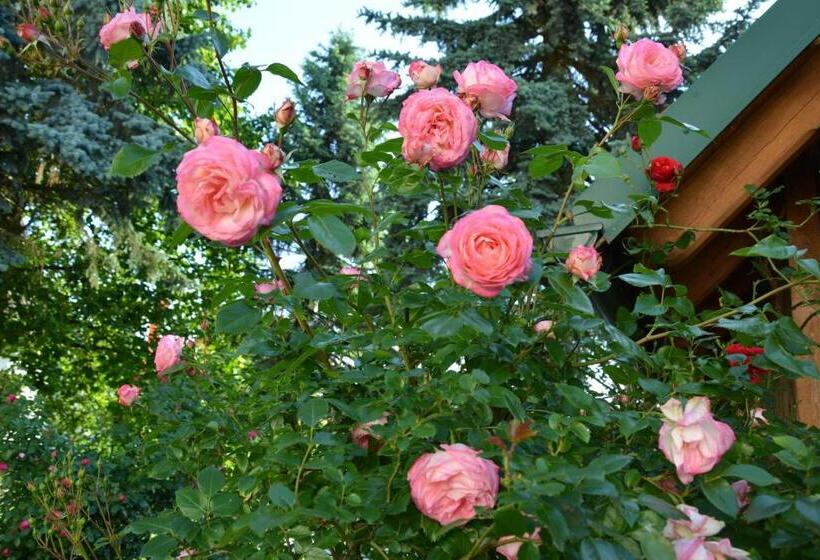 Pensionat Weingut Seiner Vlg. Kraxner