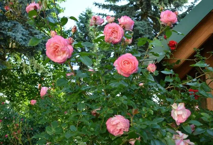 Majatalo Weingut Seiner Vlg. Kraxner