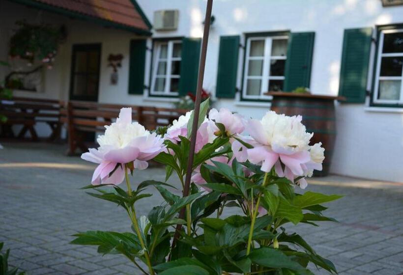 Pensionat Weingut Seiner Vlg. Kraxner
