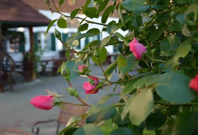 Majatalo Weingut Seiner Vlg. Kraxner