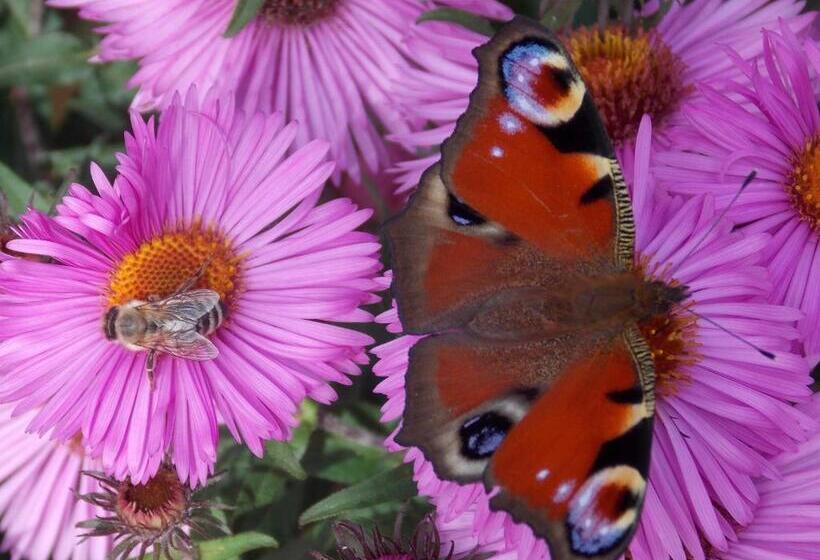 Pension Der Sulzbachhof