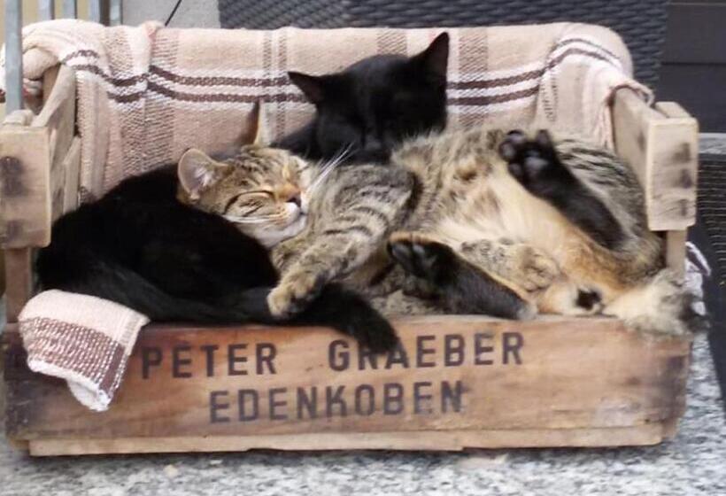 Pension Der Sulzbachhof