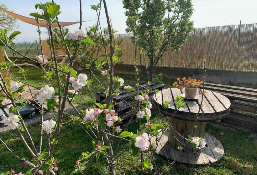 Bed and Breakfast Corte Castella