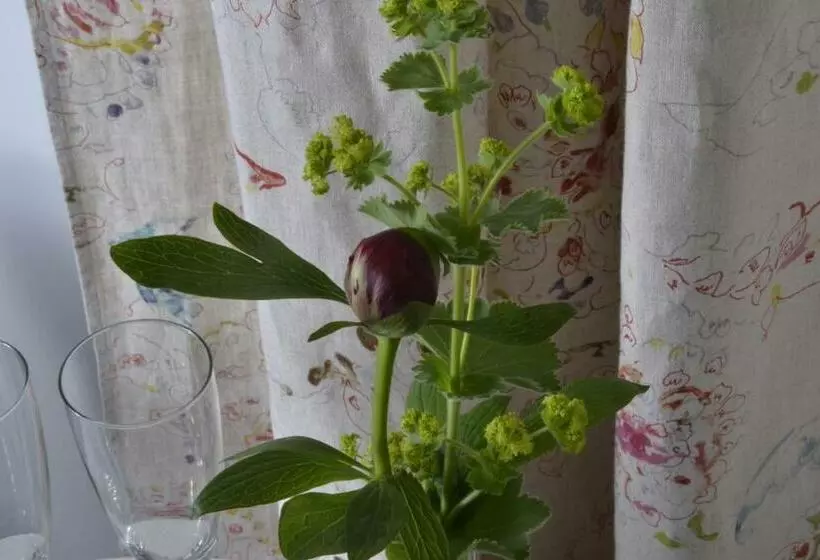 Aamiaismajoitus (B&B) Romantisches Bed&breakfast Apfelstern