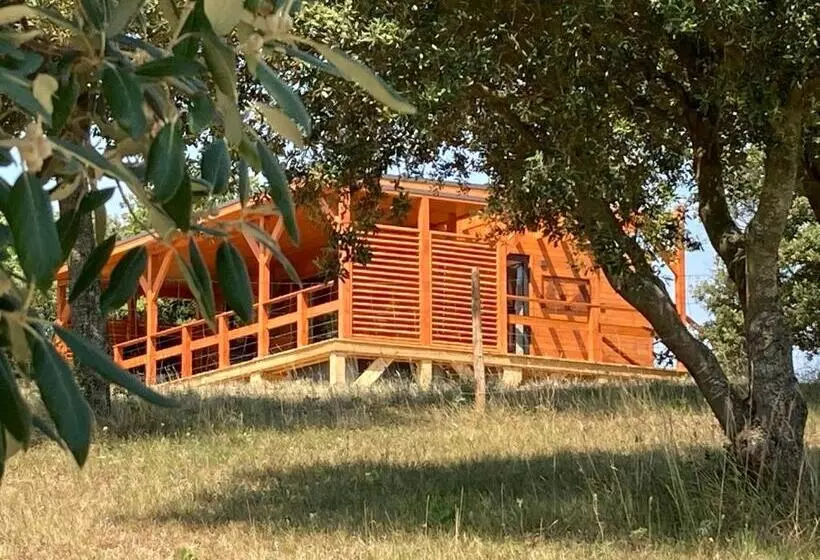 Cabanes Trésors De Campagne,spas Privatifs