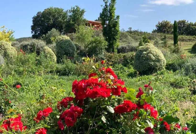 Cabanes Trésors De Campagne,spas Privatifs