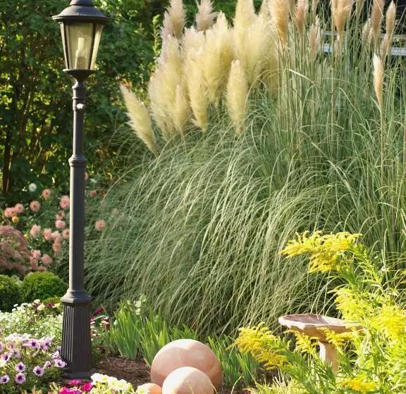 Hotelli Menschels Vitalresort