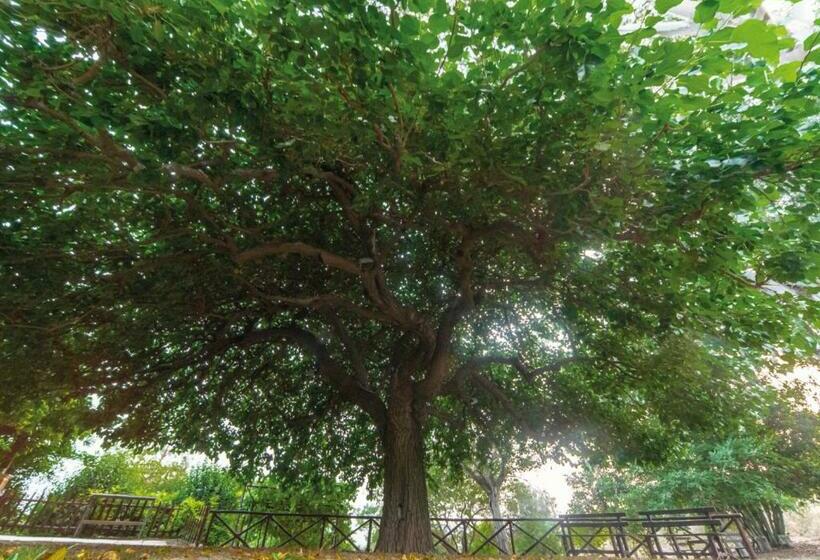 Сельский отель Il Sorgituro Agriturismo