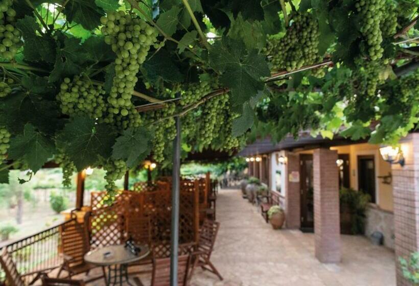 Сельский отель Il Sorgituro Agriturismo