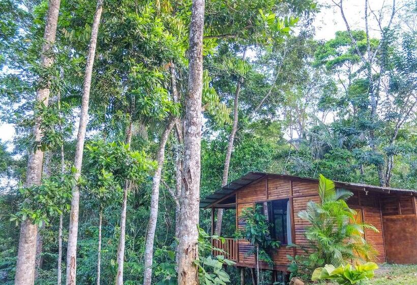 酒店 Villa Celeste Katira