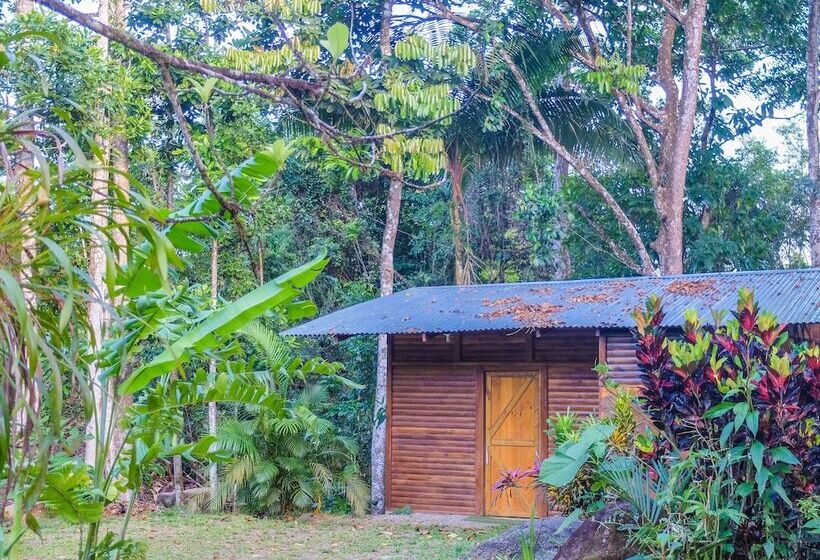 酒店 Villa Celeste Katira