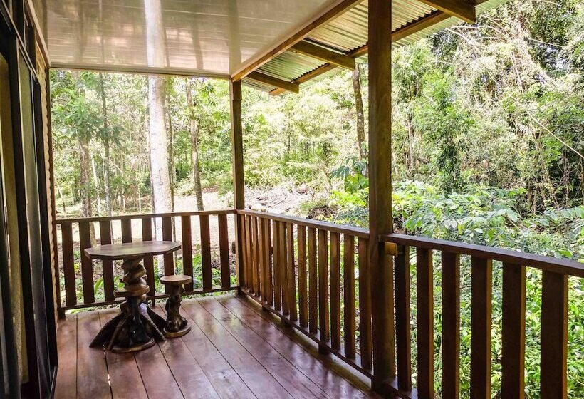 酒店 Villa Celeste Katira