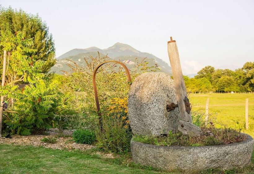 بنسيون Paradis