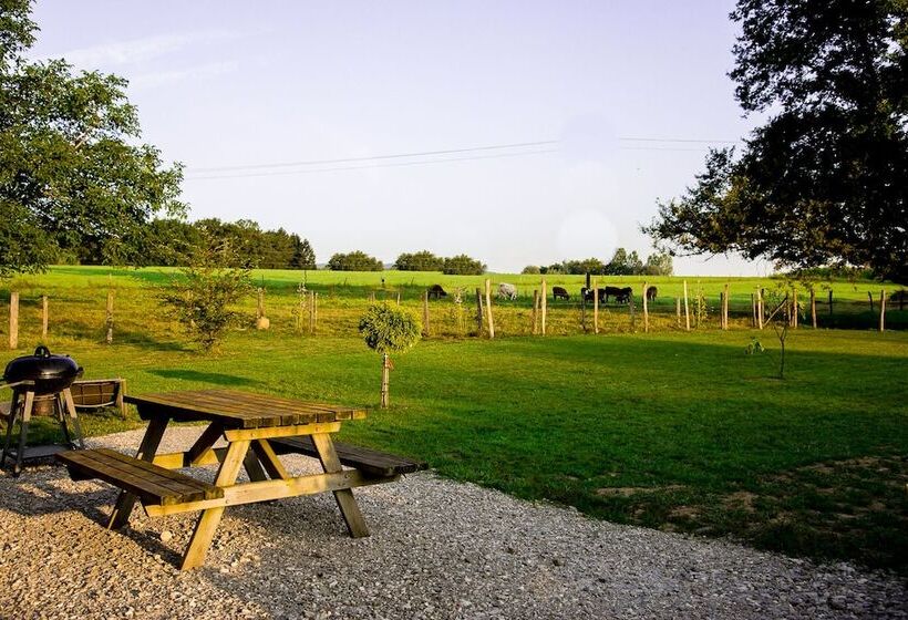 بنسيون Paradis