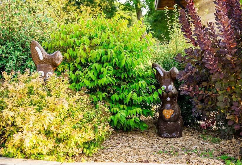 بنسيون Paradis