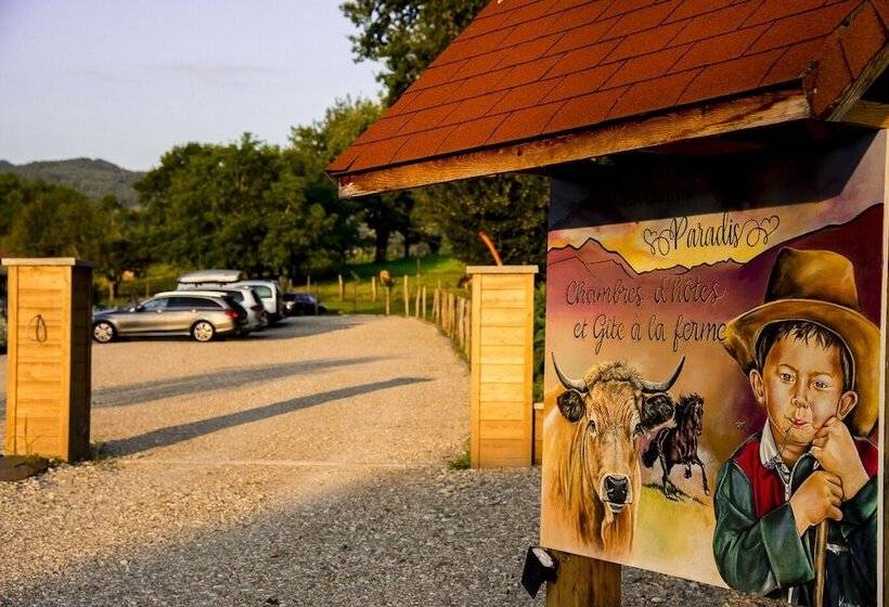 بنسيون Paradis