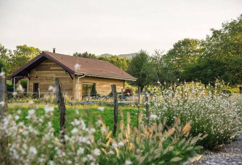 بنسيون Paradis