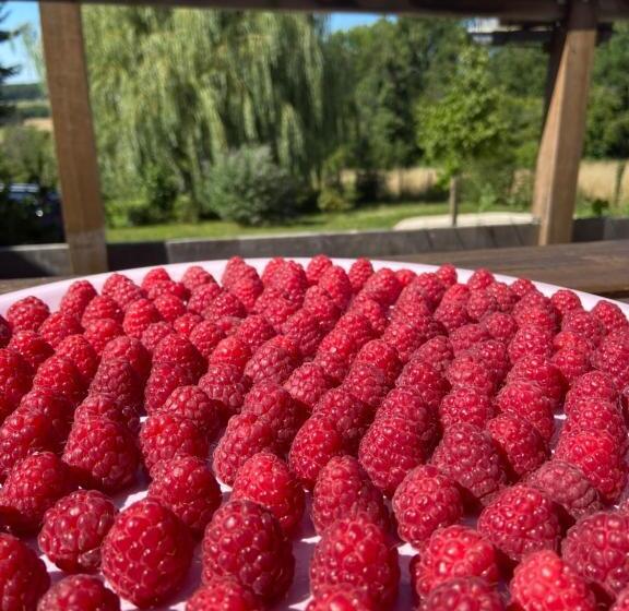 펜션 Pivoine Chambre D Hotes