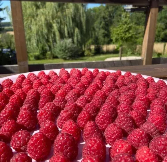 ペンション Pivoine Chambre D Hotes