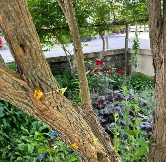 ペンション Pivoine Chambre D Hotes