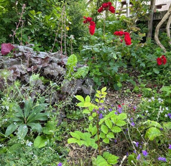 펜션 Pivoine Chambre D Hotes