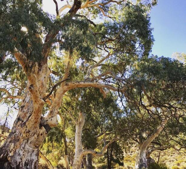 Resort Bendleby Ranges