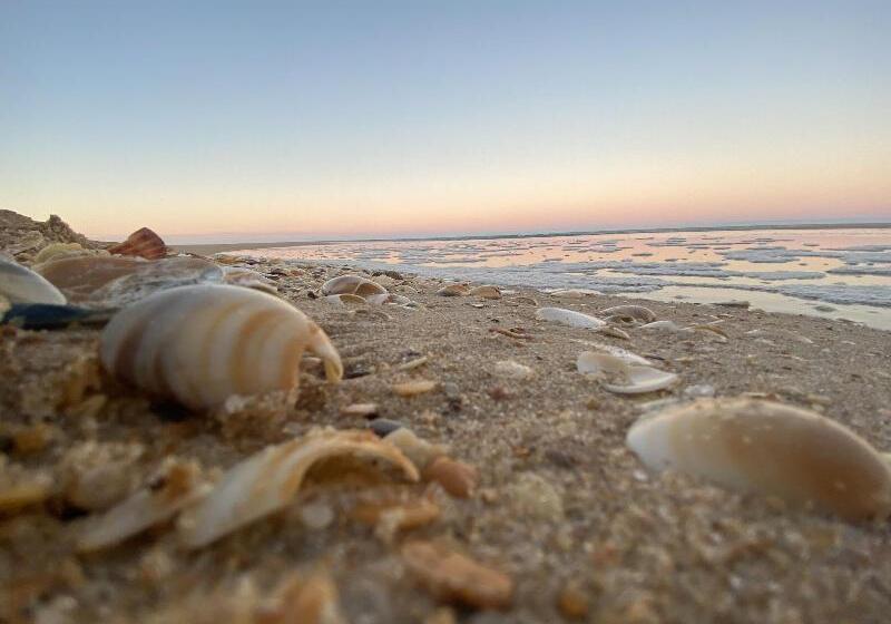 90 Mile Beach House & Villas