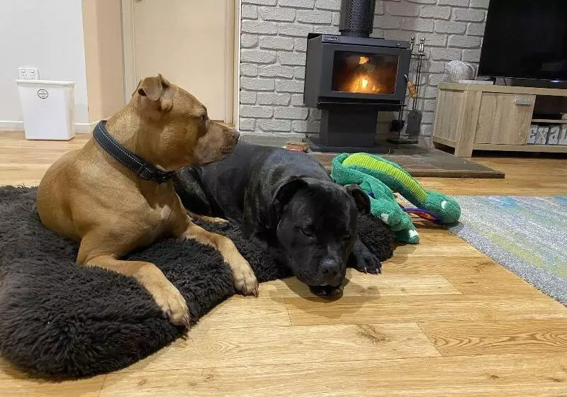 90 Mile Beach House & Villas