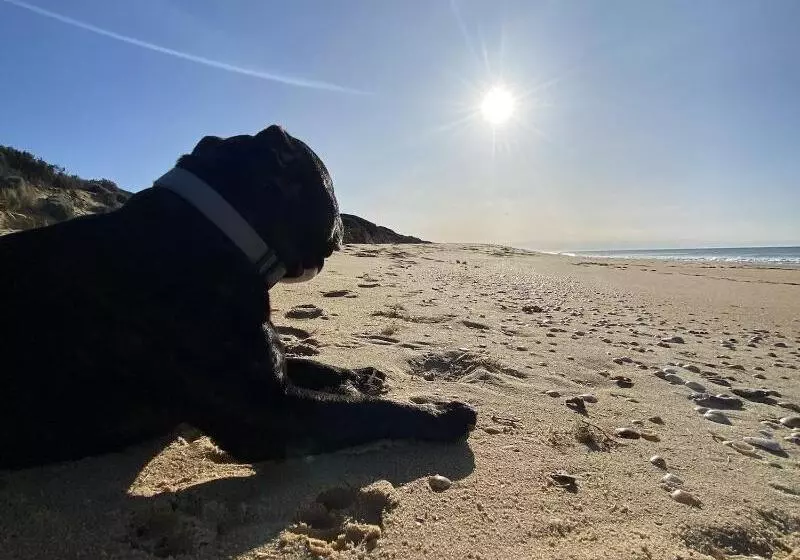 90 Mile Beach House & Villas