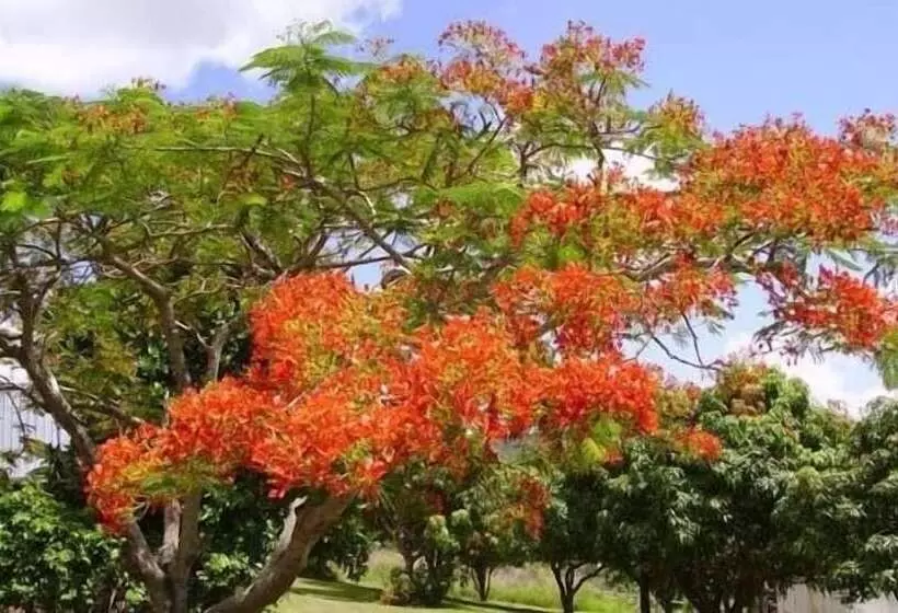 Aamiaismajoitus (B&B) Eastwood Farm