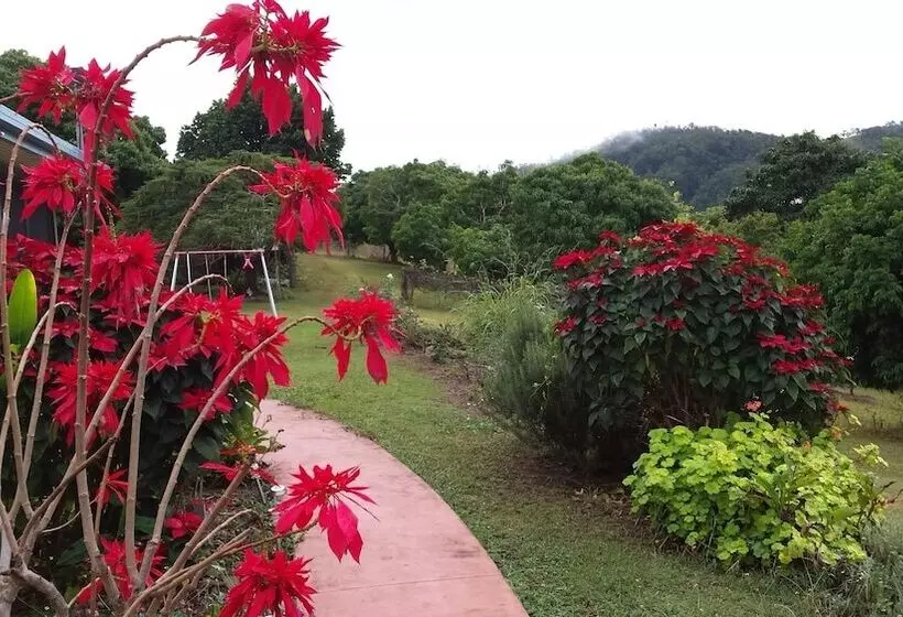 Aamiaismajoitus (B&B) Eastwood Farm