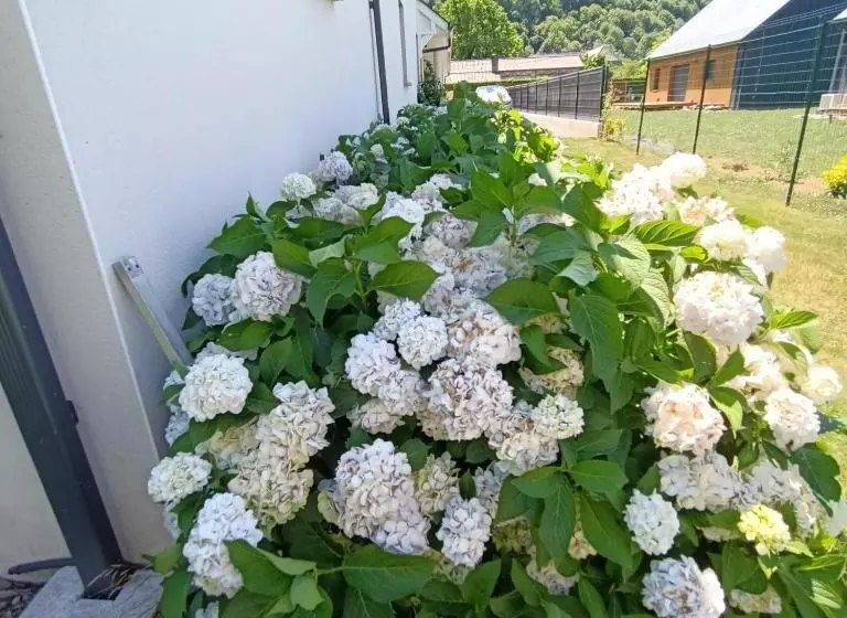 Le Balcon Des Cimes B&b