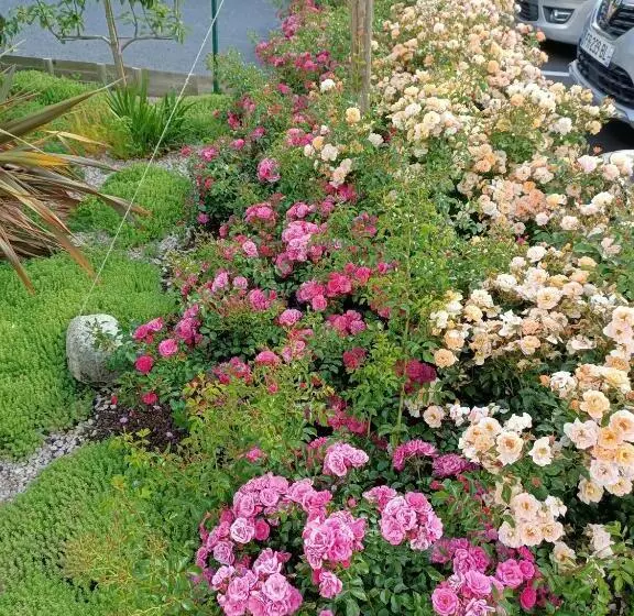 Le Balcon Des Cimes B&b