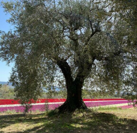 Bed and Breakfast Maison Lou Roucas