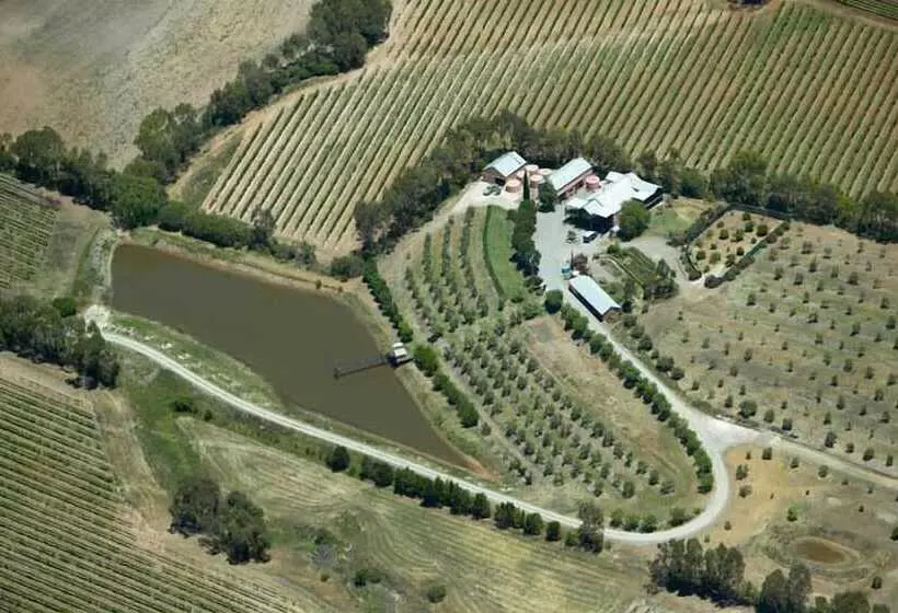 Aamiaismajoitus (B&B) Patly Hill Farm