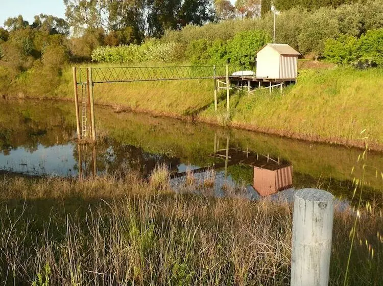 Aamiaismajoitus (B&B) Patly Hill Farm