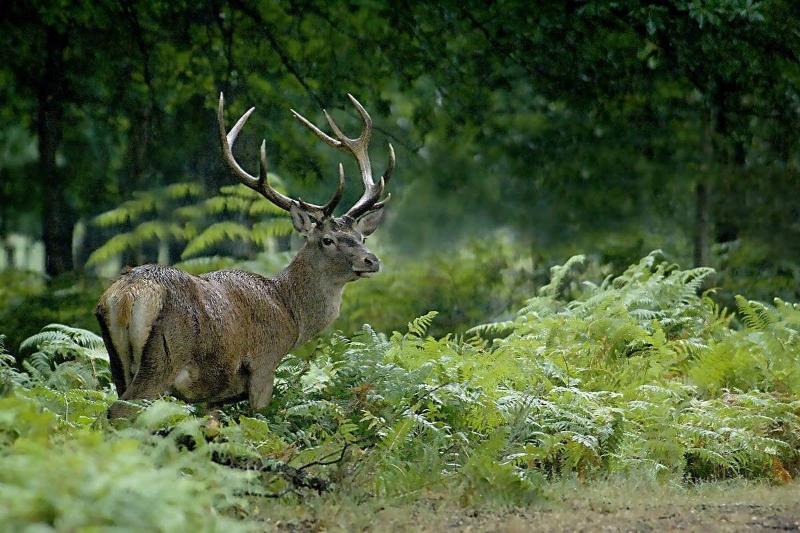 Hotell Logis Hôtels Les Granges De Bigose
