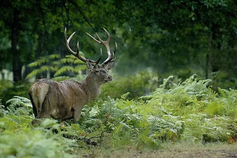 ホテル Logis Hôtels Les Granges De Bigose