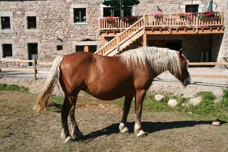 ホテル Logis Hôtels Les Granges De Bigose