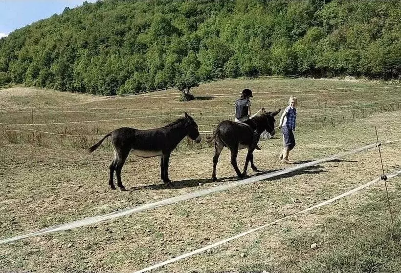 田舎風ホテル Agriturismo Campo Rosso