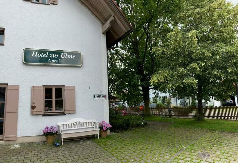 호텔 Zur Ulme