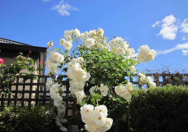 モーテル Arendon Cottage