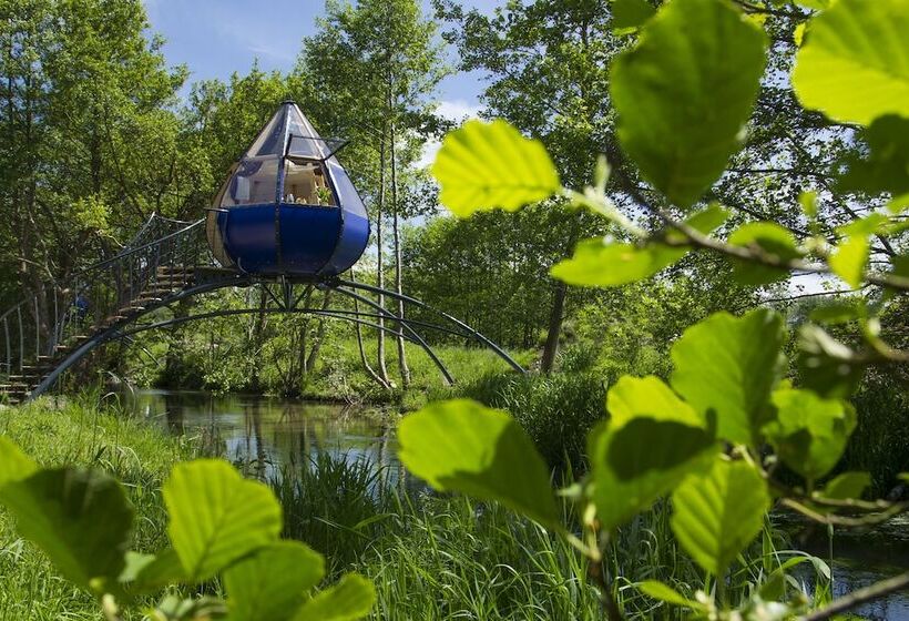 Пансион Domaine Du Lieu Dieu