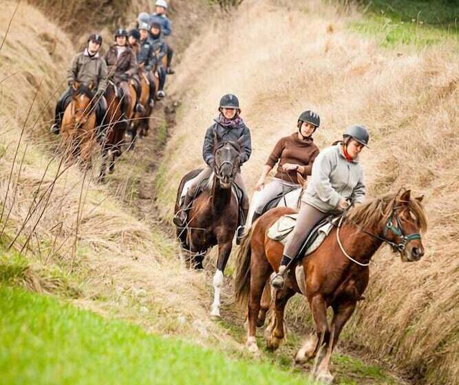 Пансион Domaine Du Lieu Dieu