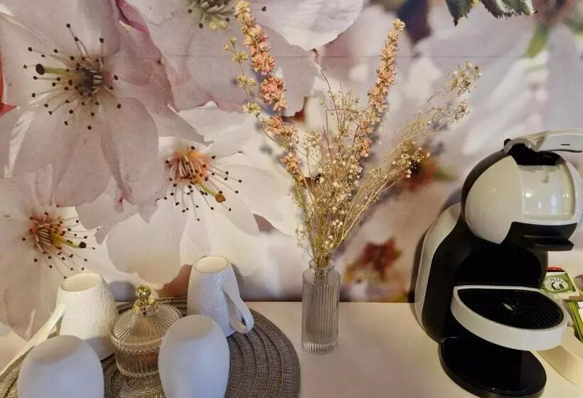 Majatalo Ome Sweet Home