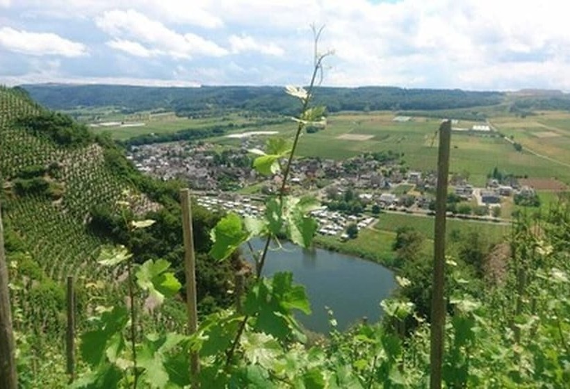 פנסיון Weingut & Gastehaus Kaufmannschneider