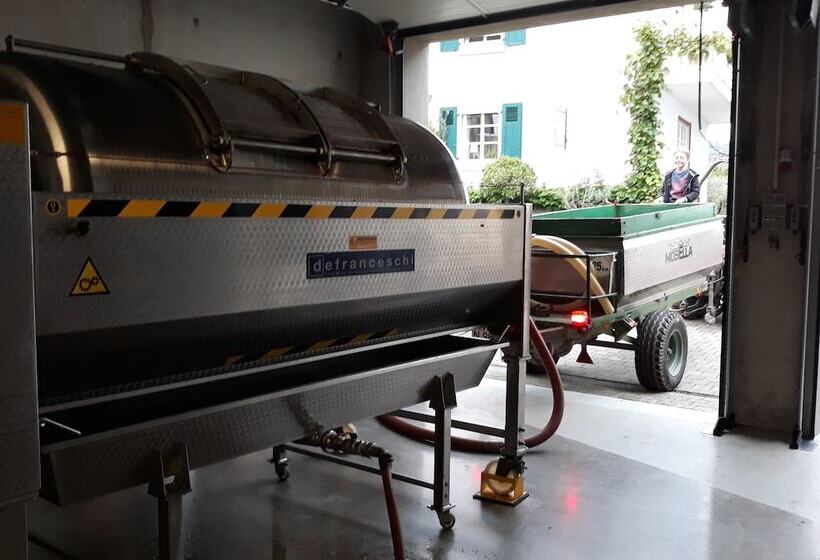 פנסיון Weingut & Gastehaus Kaufmannschneider